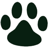 Madison Animal Hospital favicon