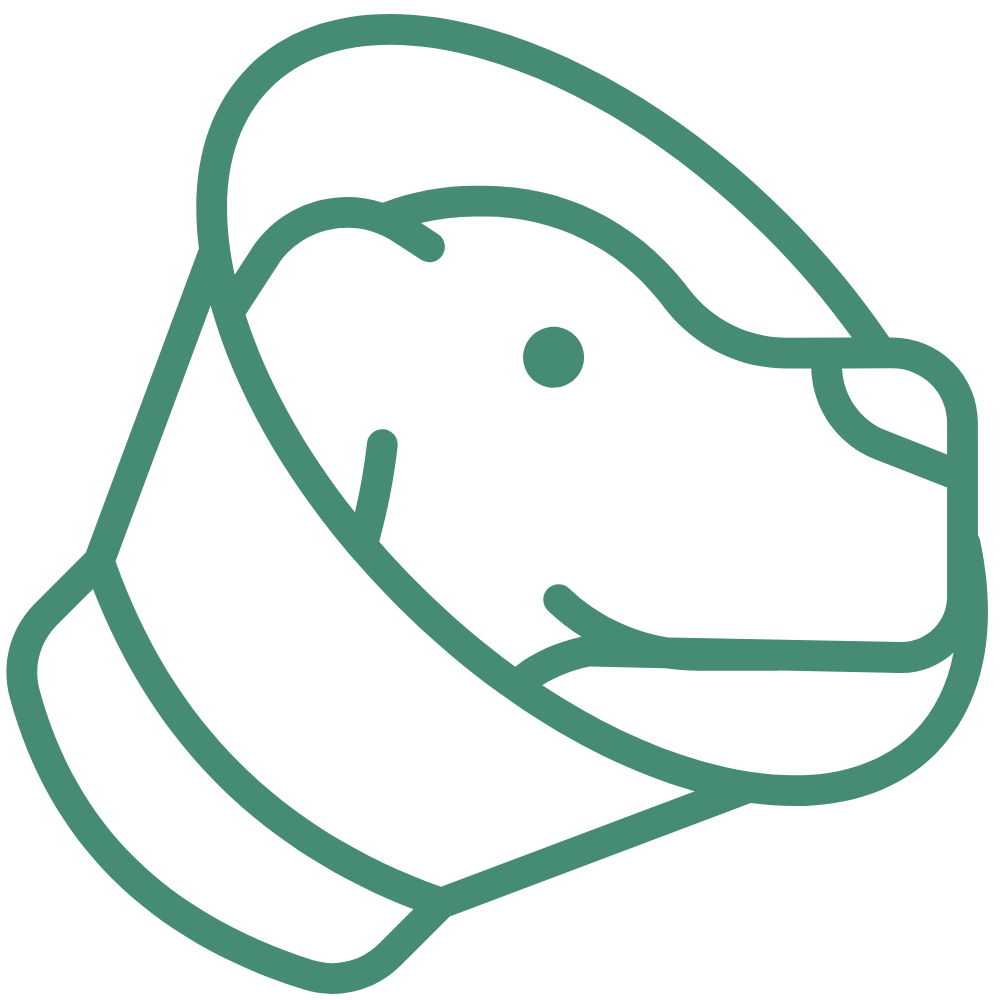pet surgery icon