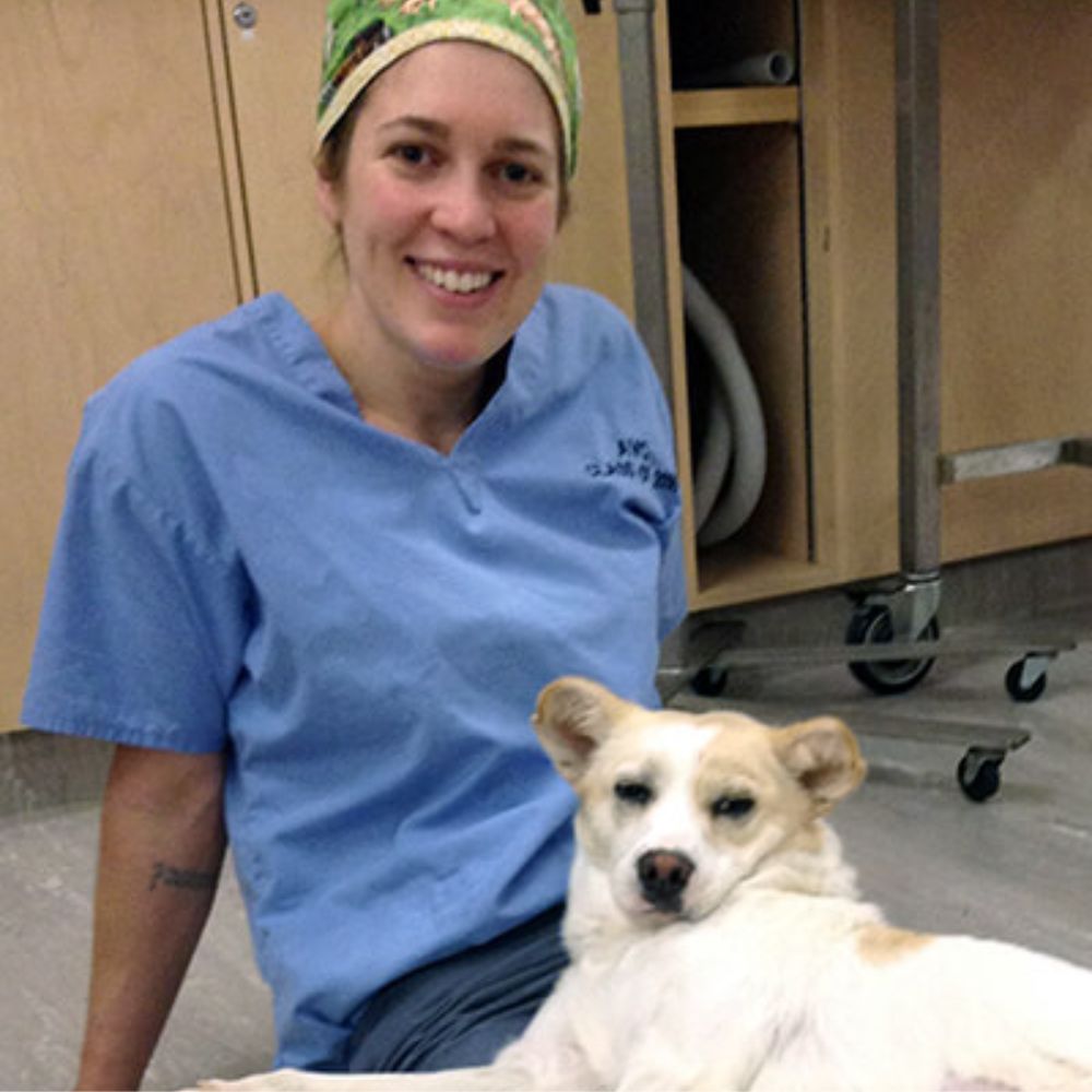Madison Animal Hospital Staff