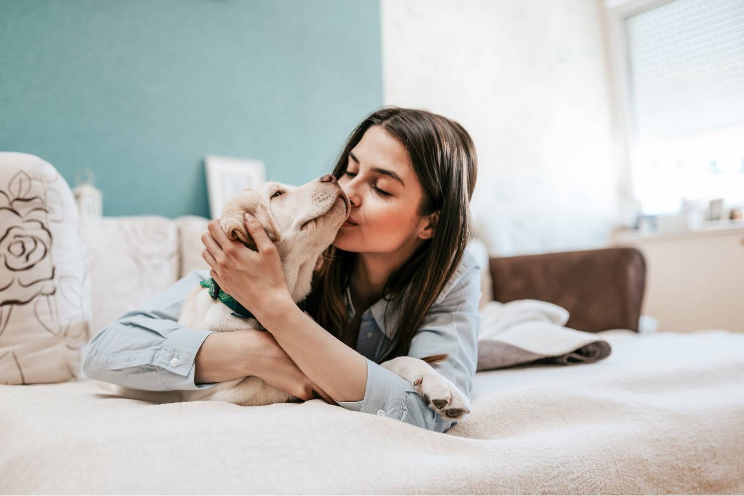 Person kissing light brown dog on bed