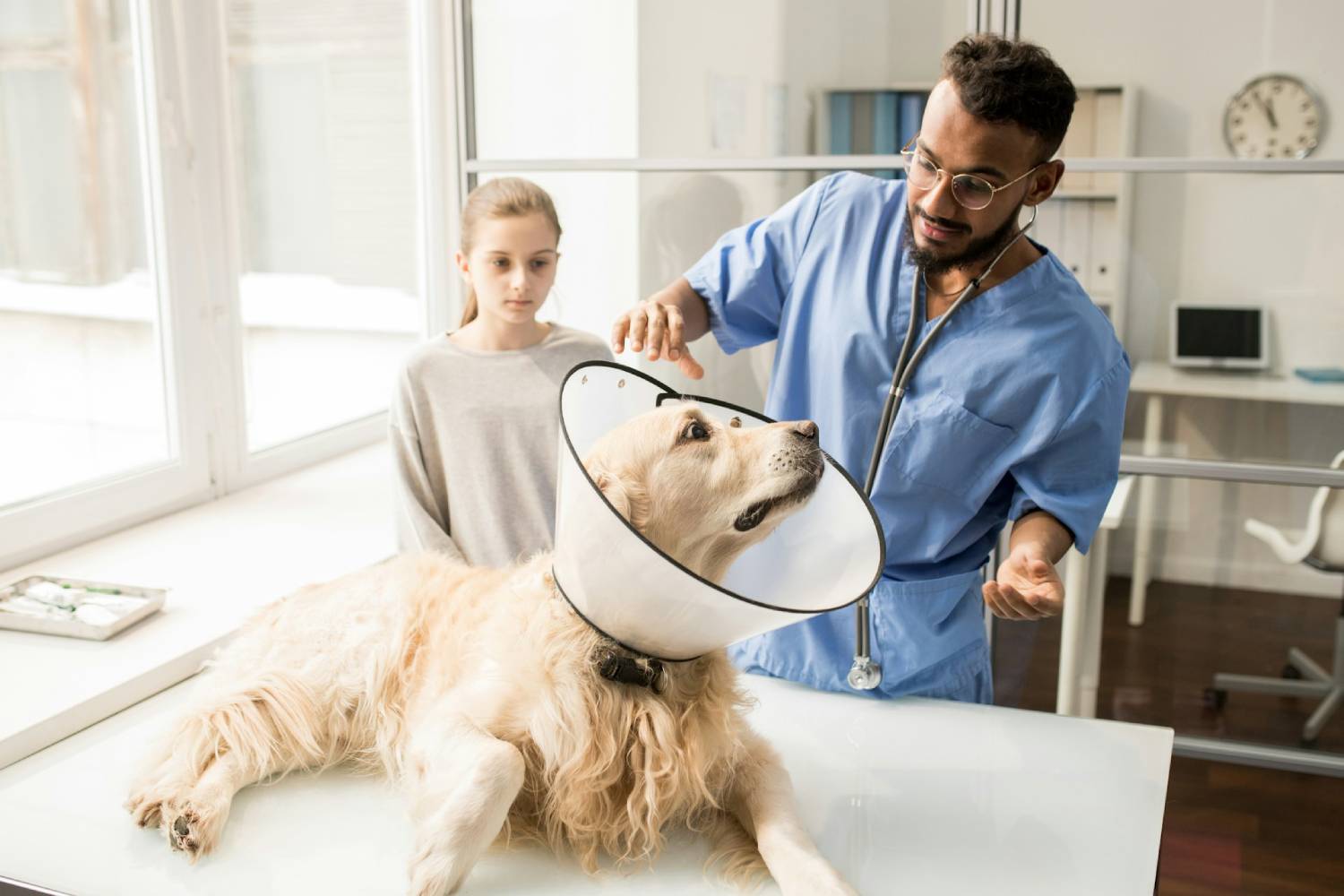Veterinary Surgery-banner dog on table with doctor