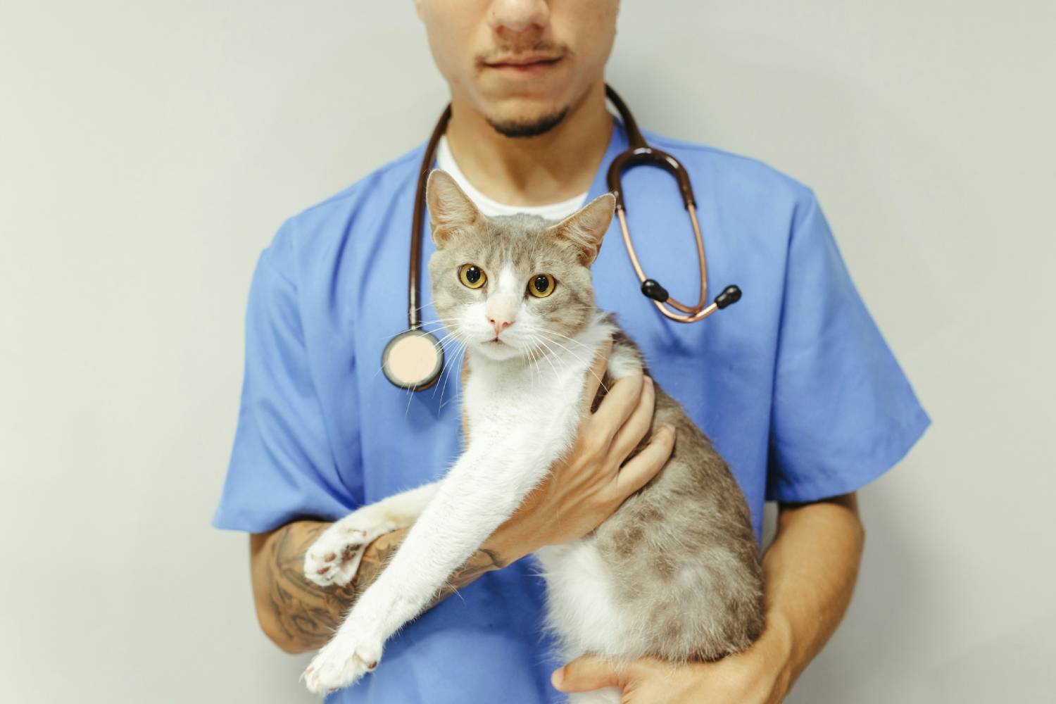 doctor holding the cat