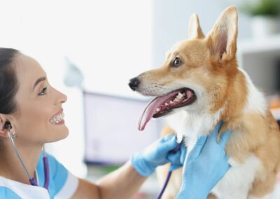 dog with the doctor