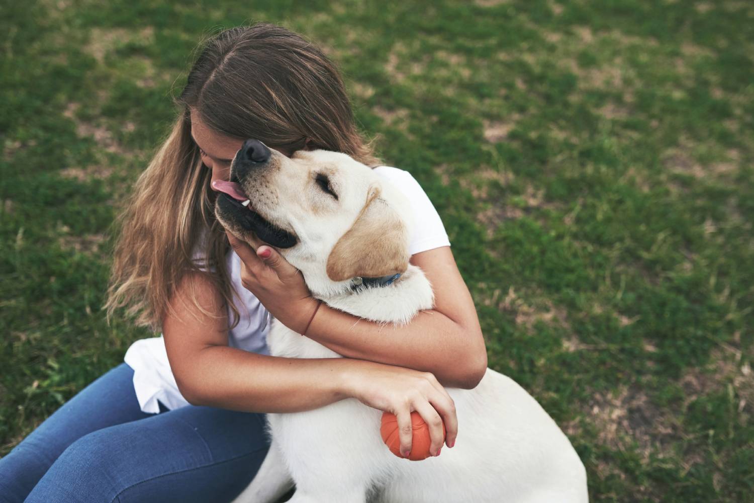 pet with doctor