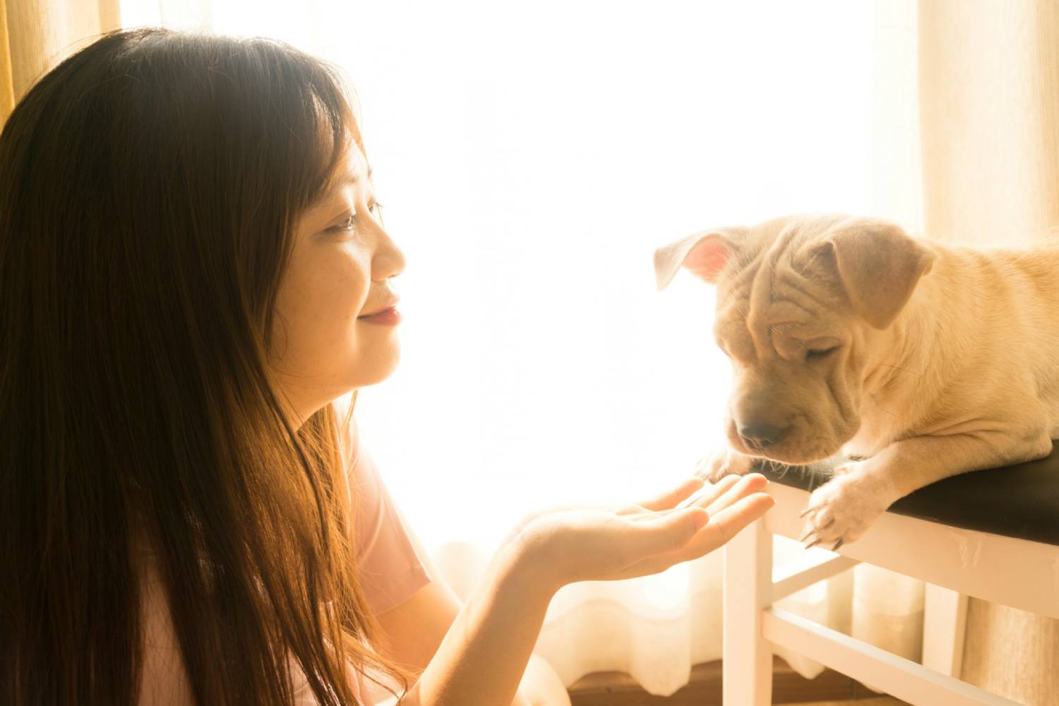 girl pet care