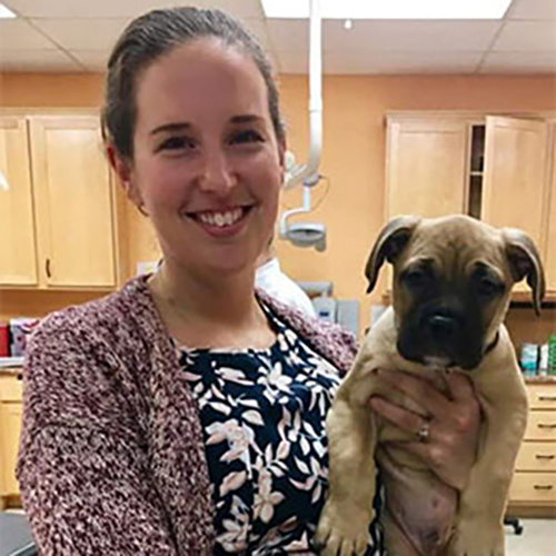 vet holding the pet smiling